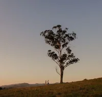 Faulls Ridge Winery - Stayed