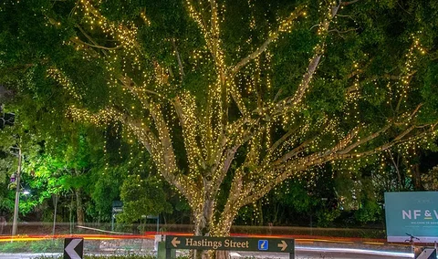 The Sunshine Coast Tour Company - Stayed 3