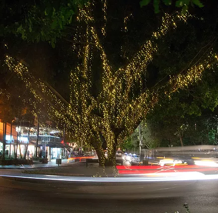 The Sunshine Coast Tour Company - Stayed 2