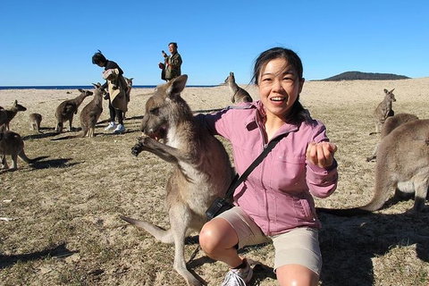 Batemans Bay Full-Day Tour From Canberra Including Indigenous Experience - Stayed 0