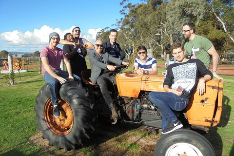 1/2 Day Swan Valley Wine Cheese & Chocolate Tour Inc Afternoon Cruise To Perth - Stayed 8