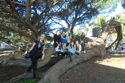 1/2 Day Swan Valley Wine Cheese & Chocolate Tour Inc Afternoon Cruise To Perth - Stayed 10