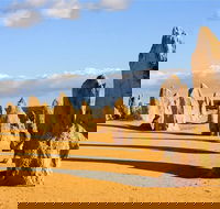 Pinnacles and Yanchep National Park Day Trip from Perth Including Lobster Shack Lunch and Sandboarding - Stays Accommodation