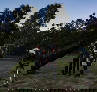 Stargazing Busselton with Mobile Observatory - Stayed