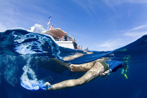 VIP Luxury Chartered Escapes, Exploring The Reef At Your Own Pace - Stayed 40