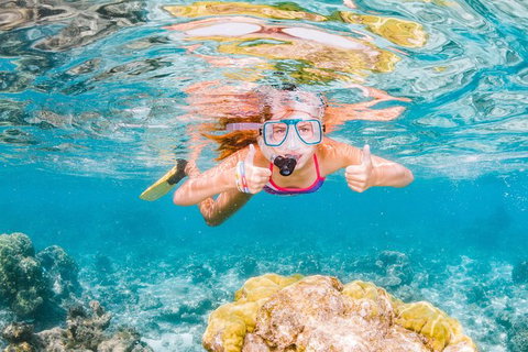 VIP Luxury Chartered Escapes, Exploring The Reef At Your Own Pace - Stayed 48