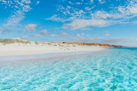 VIP Luxury Chartered Escapes, Exploring The Reef At Your Own Pace - Stayed 36