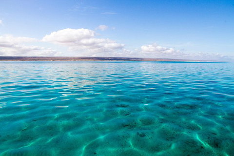 VIP Luxury Chartered Escapes, Exploring The Reef At Your Own Pace - Stayed 32