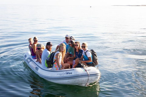 VIP Luxury Chartered Escapes, Exploring The Reef At Your Own Pace - Stayed 43