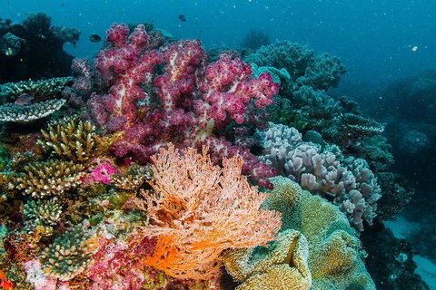 VIP Luxury Chartered Escapes, Exploring The Reef At Your Own Pace - Stayed 33