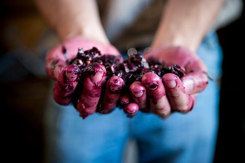 Cape Mentelle Behind The Scenes Tour With Food & Wine Pairing - Stayed 7