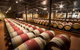 Cape Mentelle Behind The Scenes Tour With Food & Wine Pairing - thumb 6