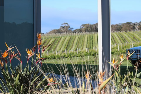 Margaret River Wine And Sights Discovery Tour From Busselton Or Dunsborough - Stays Accommodation 3
