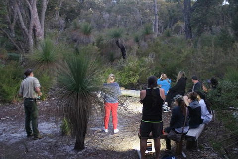 Nocturnal Wildlife Tour From Busselton Or Dunsborough - Stayed 5