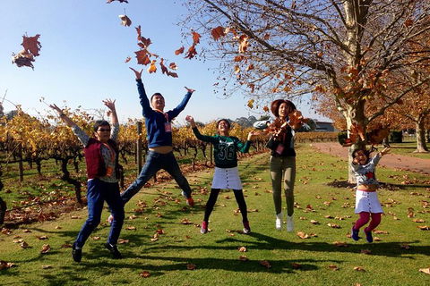 Swan Valley Half-Day Food And Wine Tasting Tour - Stayed 8