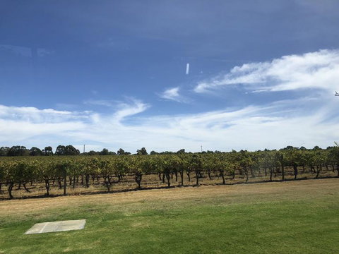 Swan Valley River Cruise And Wine Tasting Day Trip From Perth - Stays Accommodation 10