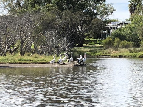 Swan Valley River Cruise And Wine Tasting Day Trip From Perth - Stays Accommodation 3
