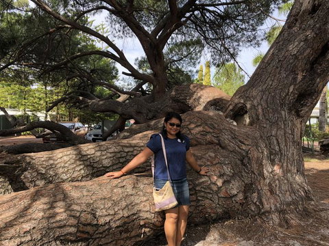 Swan Valley River Cruise And Wine Tasting Day Trip From Perth - Stays Accommodation 9