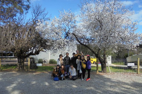 Swan Valley River Cruise And Wine Tasting Day Trip From Perth - Stays Accommodation 15