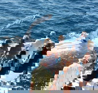 Half-Day Whale Watching Sunset Cruise from Broome - Stayed