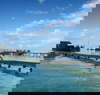 Full Day Guided Abrolhos Fly and Flipper Tour from Geraldton - Stayed