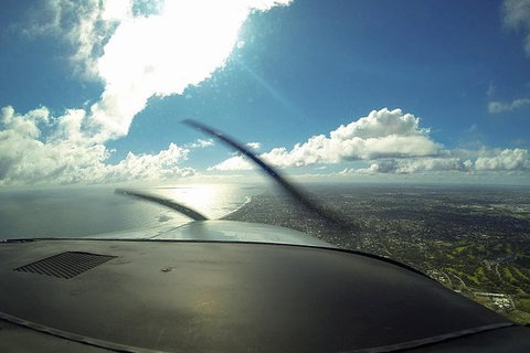 Bunbury Dolphins Discovery Tour - Fly From Perth - Stayed 4