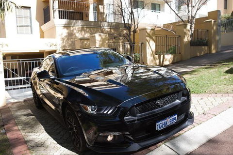 Wineries And Wildlife - With Mustang V8 Fastback - Stayed 0