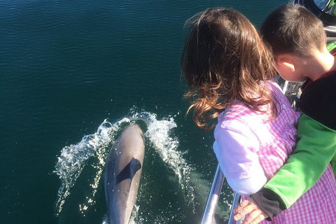 Sunset Sail Cruise Out Of Fremantle - Stays Accommodation 1