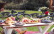 Electric Bike Winery And Brewery Tour - thumb 6