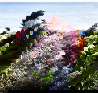 Guided Walks on the Cape to Cape - Redgate Beach to Boranup Forest - Stayed