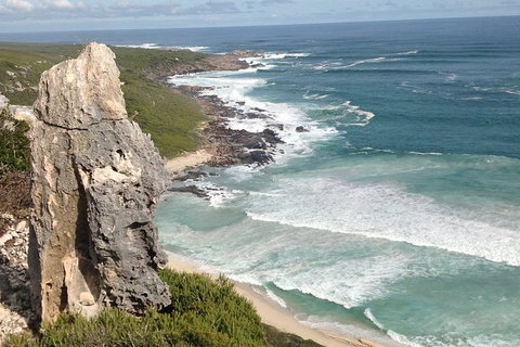 Guided Walks On The Cape To Cape - Redgate Beach To Boranup Forest - Stayed 4