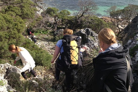 Guided Walks On The Cape To Cape - Redgate Beach To Boranup Forest - Stayed 5