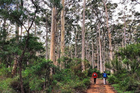 Guided Walks On The Cape To Cape - Redgate Beach To Boranup Forest - Stayed 2
