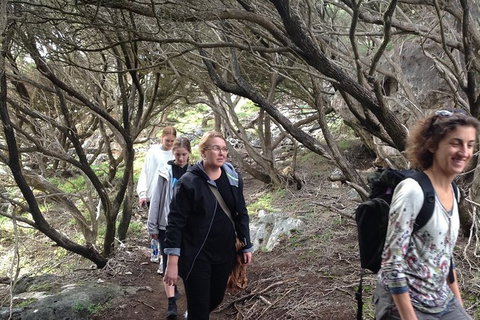 Guided Walks On The Cape To Cape - Redgate Beach To Boranup Forest - Stayed 3