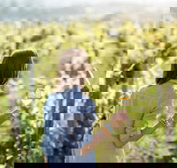 5 Hours Wineries Coffee Tasting Forest  Lunch at the Berry Farm - Stayed