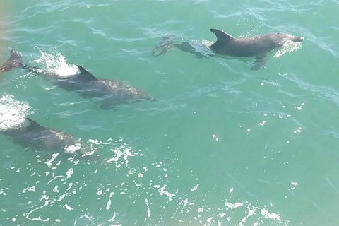 Pirate Ship Lunch Cruise (1.5hr) - Stayed 8