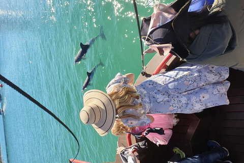 Pirate Ship Lunch Cruise (1.5hr) - Stayed 7