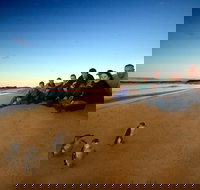 Phillip Island Ultimate Penguin Eco Tour or Skybox Experience - Stays Accommodation