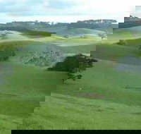 Day Tour of Phillip Island  Surrounding Region - Stays Accommodation