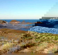 Phillip Island Walking  Bird Watching Tour - Stays Accommodation