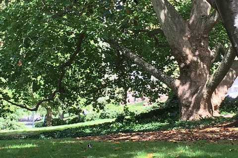 Melbourne Airport To Melbourne CBD To Melbourne Airport (2 Way Transfer) - Stays Accommodation 7