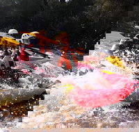 Whitewater Sports rafting on the Yarra river - Stayed