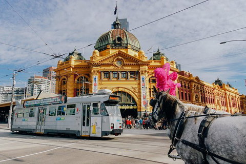 A Full Day In Melbourne With A Local: Private & Personalized - Stays Accommodation 9