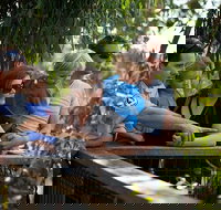 Phillip Island 3 Park Pass Penguin Parade Koala Conservation Centre and Penguin Parade Koala ConservationHeritage Farm - Stays Accommodation