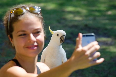 Small-Group Great Ocean Road Tour Experience With Eureka Skydeck Admission - Stays Accommodation 8