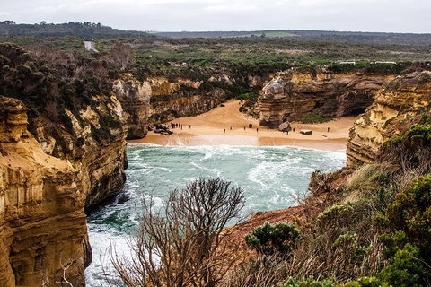 Small-Group Great Ocean Road Tour Experience With Eureka Skydeck Admission - Stays Accommodation 4