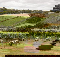 Montalto Vineyard Mornington Peninsula Discovery Wine Tasting and Lunch - Stayed