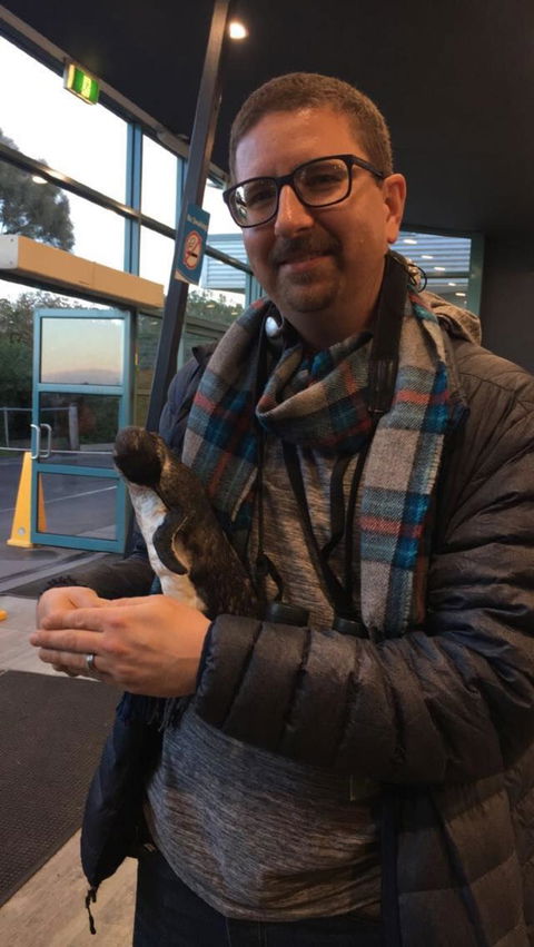 Phillip Island Penguin, Brighton Beach, Moonlit Sanctuary From Melbourne - Stayed 6