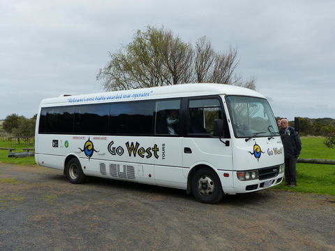 Phillip Island Penguin, Brighton Beach, Moonlit Sanctuary From Melbourne - Stayed 17