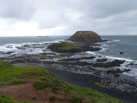 Phillip Island Penguin, Brighton Beach, Moonlit Sanctuary From Melbourne - Stayed 16